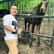 ���������� �����������, ���� ������� �����, 29 ���, ������������ ��� ������, ����� � ���������