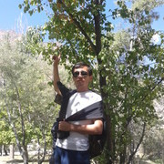  ,   Safarbek, 38 ,   ,   , c 