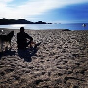 ���������� ������, ���� ������� �������, 39 ���, ������������ ��� ������, ����� � ���������, c�������� ���������