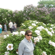  ,   , 40 ,     , c 