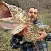 ���������� ������ ��������, ���� ������� ��������, 57 ���, ������������ ��� ������