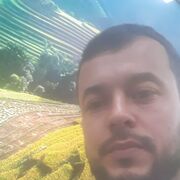 ���������� ���������, ���� ������� Alim, 33 ����, ������������ ��� ������, ����� � ���������