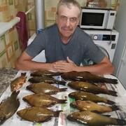  ,   , 54 ,   ,   