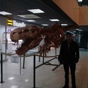  -,   , 36 ,   