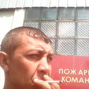  -,   , 48 ,   