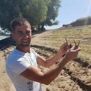 ���������� ������������, ���� ������� �����, 40 ���, ������������ ��� ������, ����� � ���������, c�������� ���������