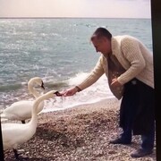  ,   , 56 ,  