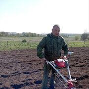 ���������� �����, ���� ������� ��������, 61 ���, ������������ ��� ������, ����� � ���������