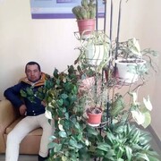 ���������� ���������, ���� ������� ������, 37 ���, ������������ ��� ������, ����� � ���������