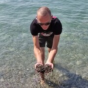 ���������� ��������, ���� ������� ������, 29 ���, ������������ ��� ����� � ���������, c�������� ���������