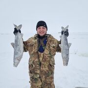 ���������� �����-��������, ���� ������� ���������, 31 ���, ������������ ��� ������, ����� � ���������