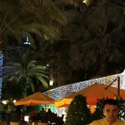 ���������� ����, ���� ������� ����, 36 ���, ������������ ��� ������, ����� � ���������, c�������� ���������