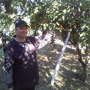  ,   , 60 ,   ,   , c , 