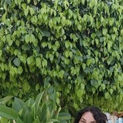 ���������� ������, ���� ������� �����, 50 ���, ������������ ��� ������, ����� � ���������, c�������� ���������