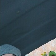 ���������� �������, ���� ������� �����, 31 ���, ������������ ��� ������, ����� � ���������