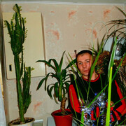 ���������� ������ ������, ���� ������� ����, 46 ���, ������������ ��� ������, ����� � ���������, c�������� ���������