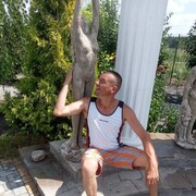  ,   Sova, 44 ,   