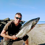  ,   Vovik, 46 ,   ,   , c 