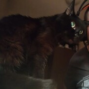 ���������� ���, ���� ������� Evgen, 33 ����, ������������ ��� ������, ����� � ���������, c�������� ���������