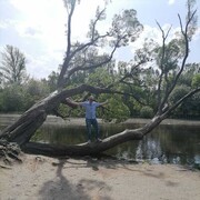 ���������� ������������, ���� ������� ������, 33 ����, ������������ ��� c�������� ���������