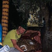   ,   , 41 ,   ,   