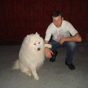 ���������� �����, ���� ������� C���, 40 ���, ������������ ��� ������