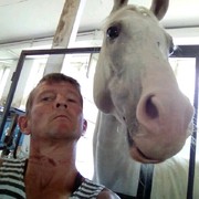  ,   , 52 ,  
