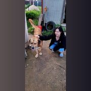  ,   , 49 ,     , c 