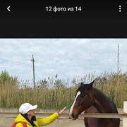  ,   NiKa, 56 ,   ,   