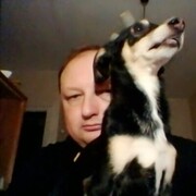 ���������� ������������, ���� ������� ��������, 48 ���, ������������ ��� c�������� ���������