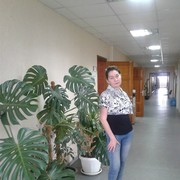  -,   , 51 ,   ,   , c 