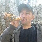  ,   , 46 ,   