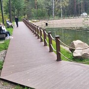 ���������� ����������, ���� ������� �������, 39 ���, ������������ ��� ������, ����� � ���������, c�������� ���������