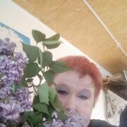  ,   , 53 ,   c 
