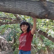  ,   , 63 ,   