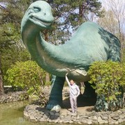  ,   Rem, 38 ,   