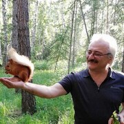 ���������� ��������, ���� ������� ������, 60 ���, ������������ ��� ����� � ���������, c�������� ���������