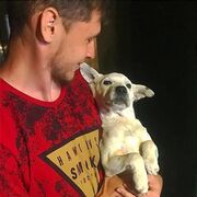 ���������� ���������, ���� ������� �������, 28 ���, ������������ ��� ������, ����� � ���������