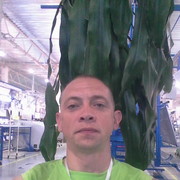  ,   , 49 ,   ,   , c 