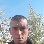  -,  , 41
