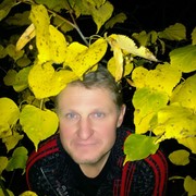 ���������� ������, ���� ������� ����, 49 ���, ������������ 