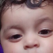 ���������� ���������, ���� ������� ����, 31 ���, ������������ ��� c�������� ���������