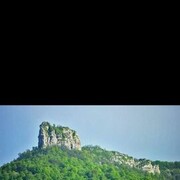 ���������� ����������, ���� ������� ������, 39 ���, ������������ ��� c�������� ���������