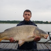  ,   , 42 ,     , c 