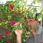 ���������� ������, ���� ������� Vazgen, 52 ����, ������������ ��� ������