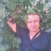  ,   Art, 55 ,   