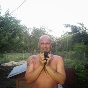 ���������� �������, ���� ������� �����, 52 ����, ������������ ��� ������, ����� � ���������, c�������� ���������