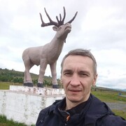 ���������� ����������, ���� ������� �������, 45 ���, ������������ ��� c�������� ���������