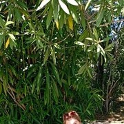  ,   , 59 ,   ,   