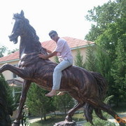 ���������� ����, ���� ������� Ali, 45 ���, ������������ ��� ������